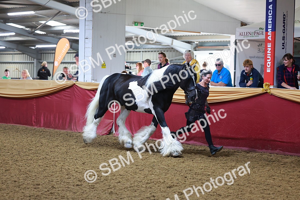 SBM_14714 - Class C - Novelty champ