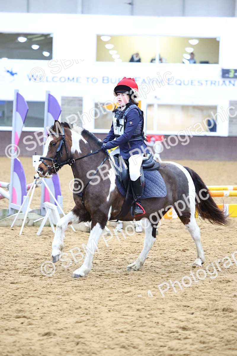 SBM_001229 - Class 3 - Christmas Tree Stakes - 60cm