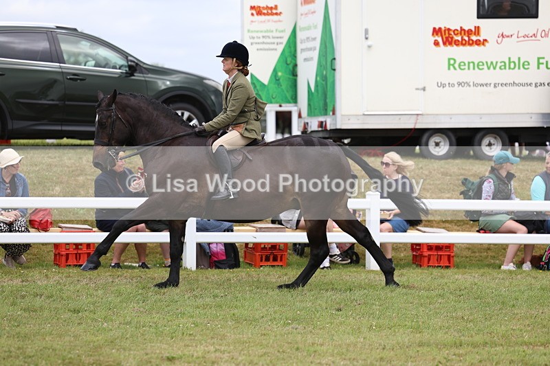 3E7A1569 - Class 9: Open Hunter