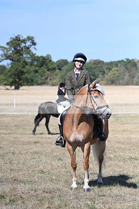 WJ7_1268 - Class 41 Prettiest Mare