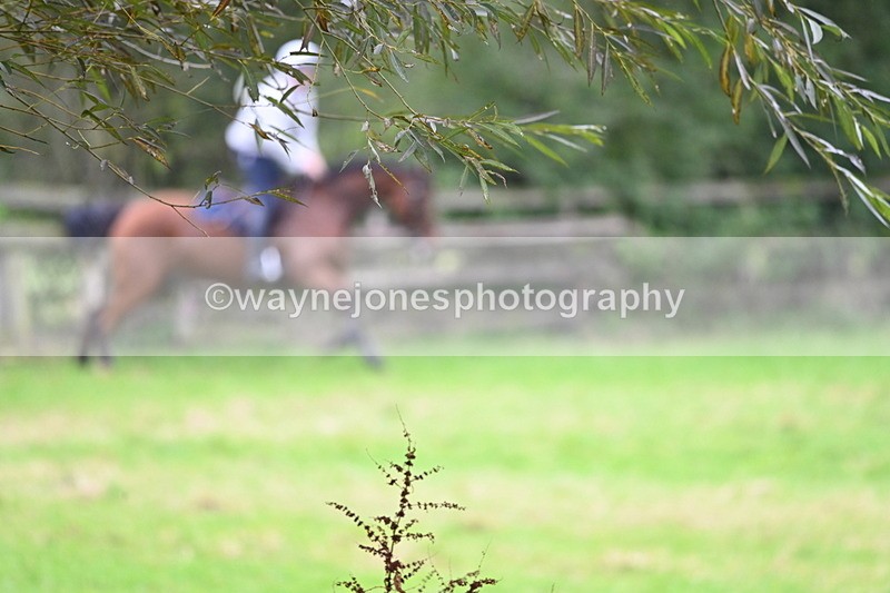 WJ6_7895 - Time at Photographer 13:49 to 14:15