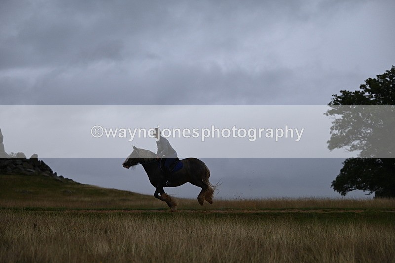 DSC_3298 - Time at Statue 12:59 to 13:49