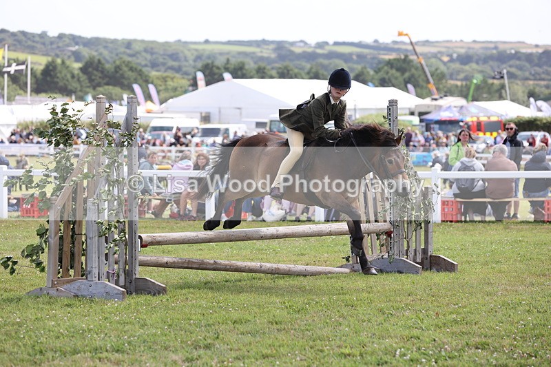 JPP_2025 - Class 19: Working Hunter 60cm