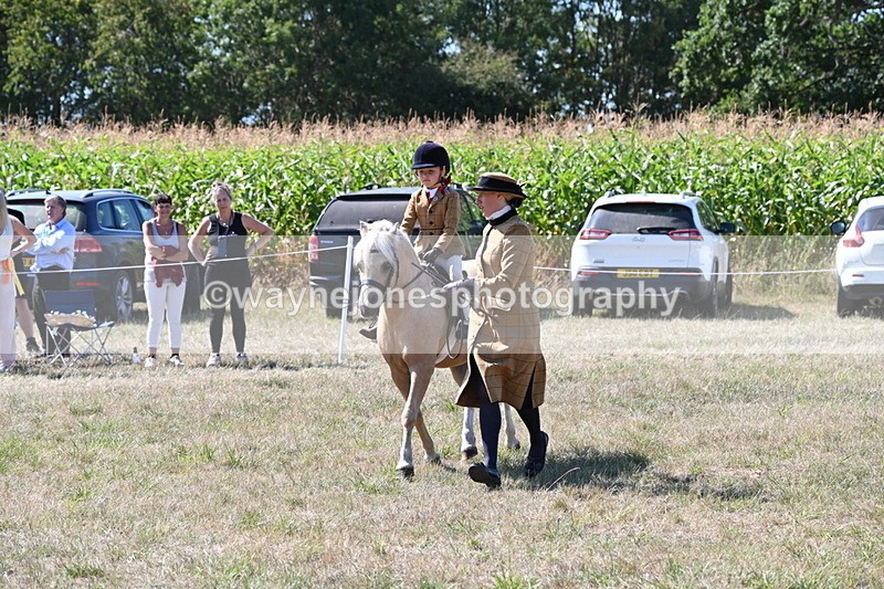 WJ6_8063 - Class 36 Lead Rein