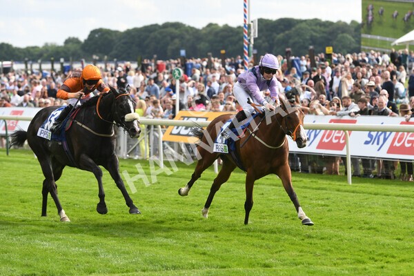 yr11062022r8-24 - Race 8 5.25pm Clean up with PPS Stakes