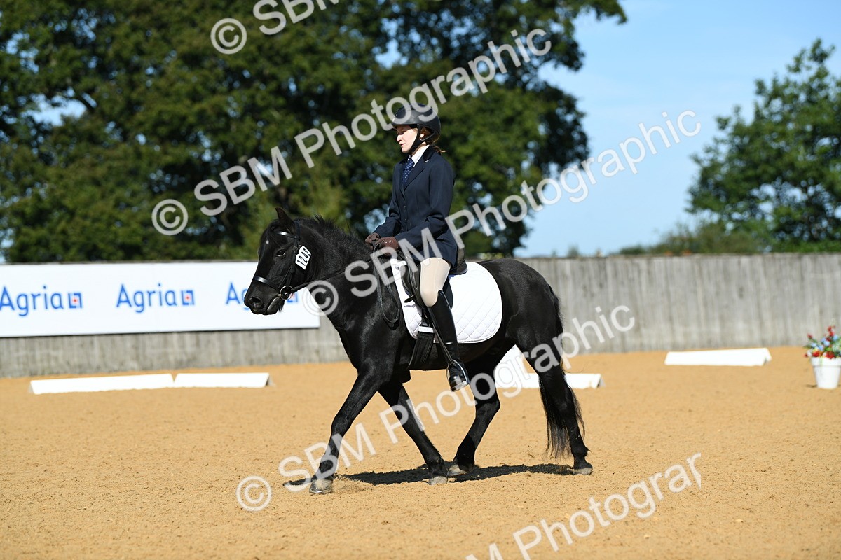 SBM_18183 - D4 - Small Tour Championship - Intro B
