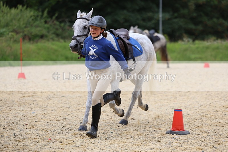 3E7A9588 - Walk trot run