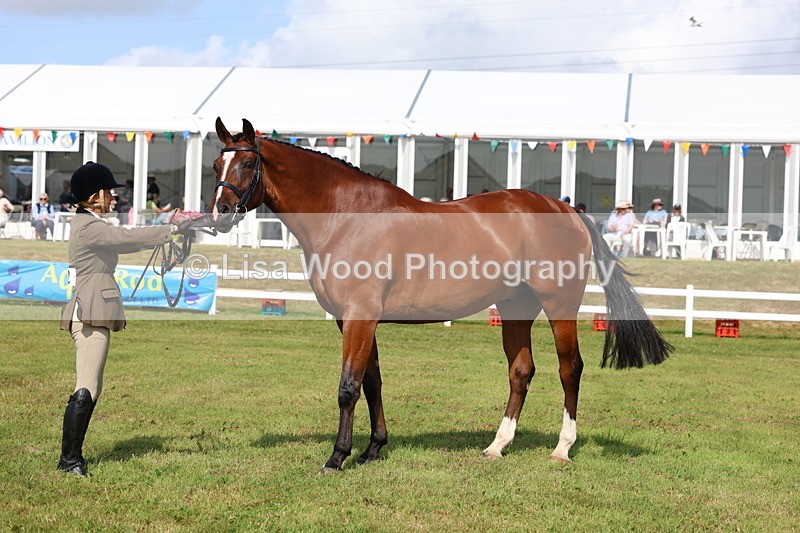 3E7A9550 - Class 4: Rising Star M/H Hunter