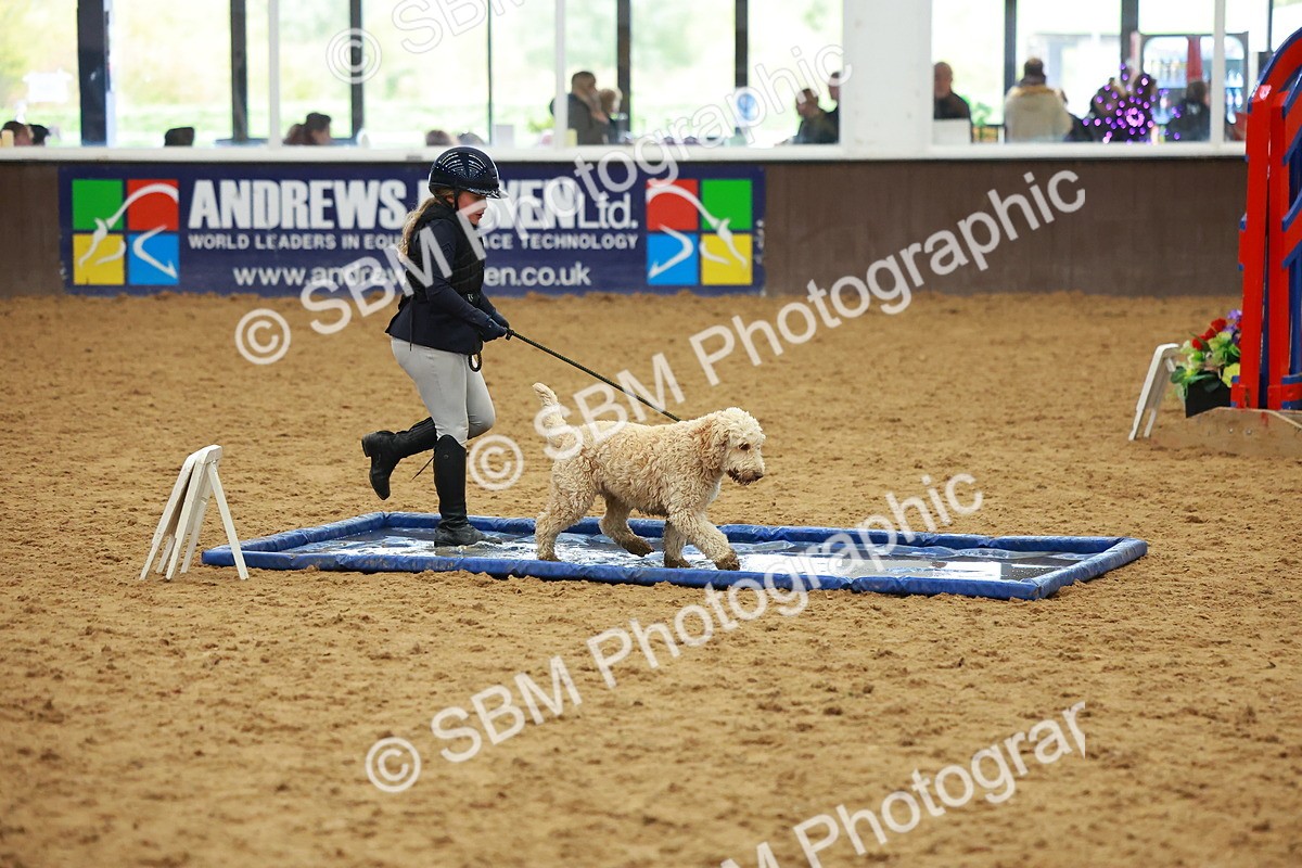 SBM_002183 - Class 3 - Horse & Hound (60cm)