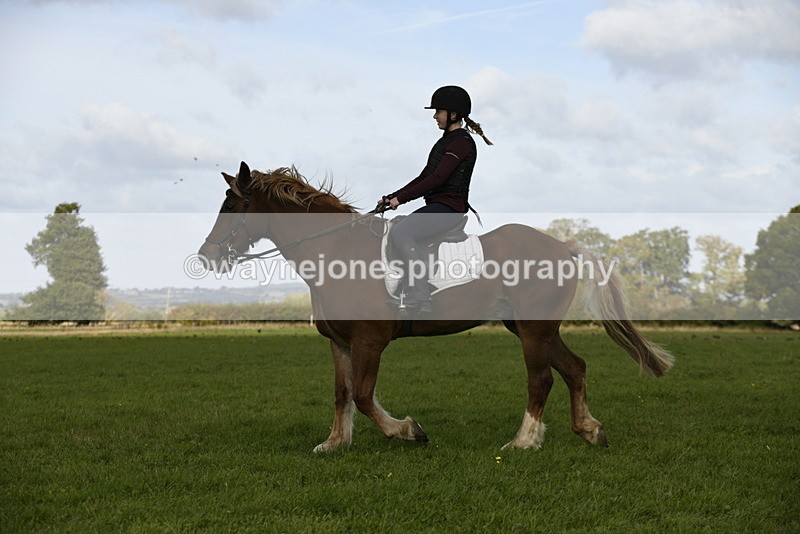 _DSC6112 - Time 11:23 to 12:05