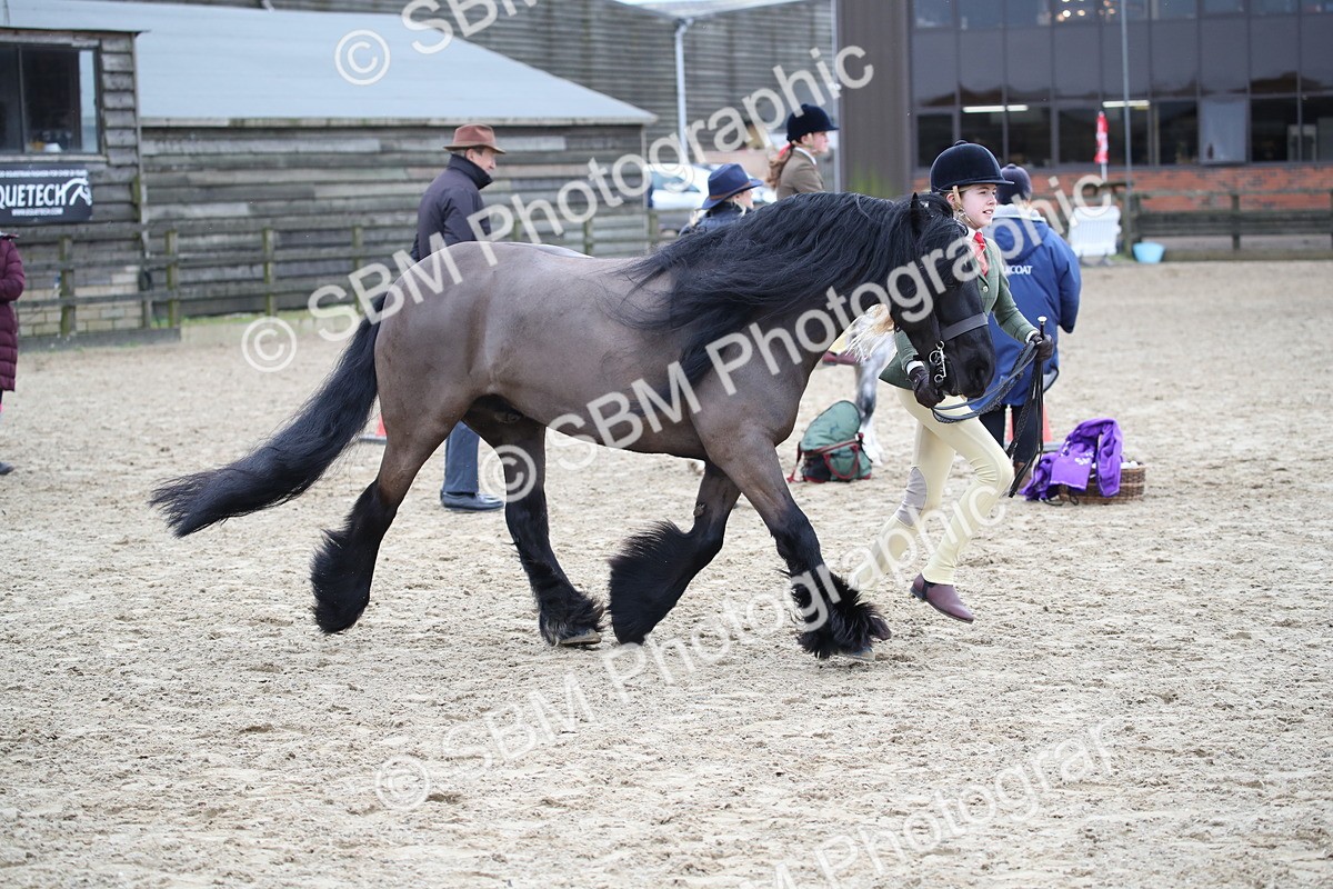 SBM_006414 - Class 10-13 - RIHS Small Large Breeds