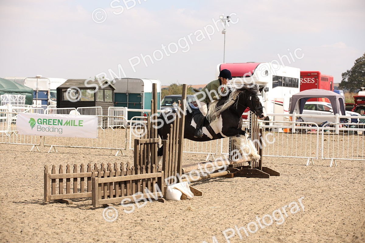 SBM_14330 - Class 407b - Working Veteran 60cm (20+)