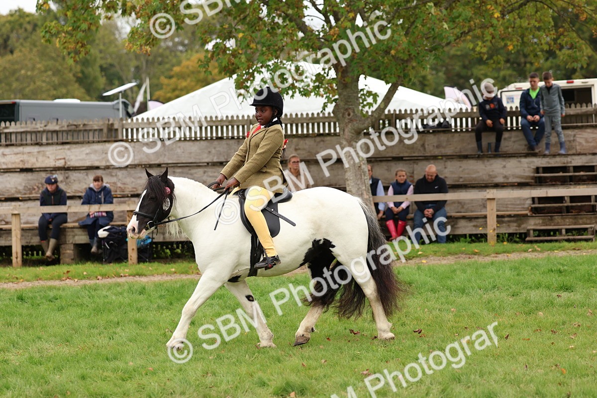 SBM_64585 - S58 - Coloured Pony Ridden