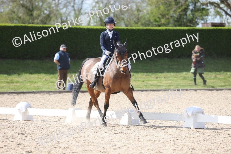 20260405-0910 - Pony FEI