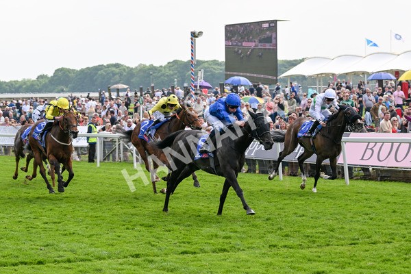 170524-Race 3-Devoted Queen-7877 - Race 3 3.15pm Sky Bet Fillies' Stakes (Registered As The Michael Seely Memorial Fillies' Stakes)