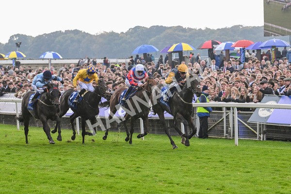 121024-Race 1-Jungle Drums-2550 - Race 1 1.30pm Coral Rockingham Stakes