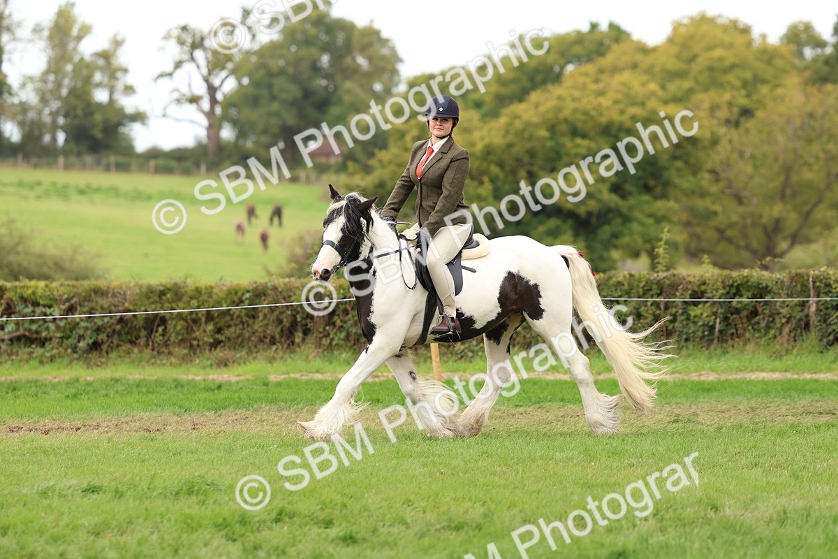 SBM_64485 - S58 - Coloured Pony Ridden