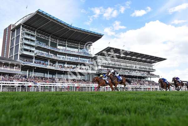 yr21052022r6-23 - Race 6: 4:42pm Yorkshire Regiment Stakes