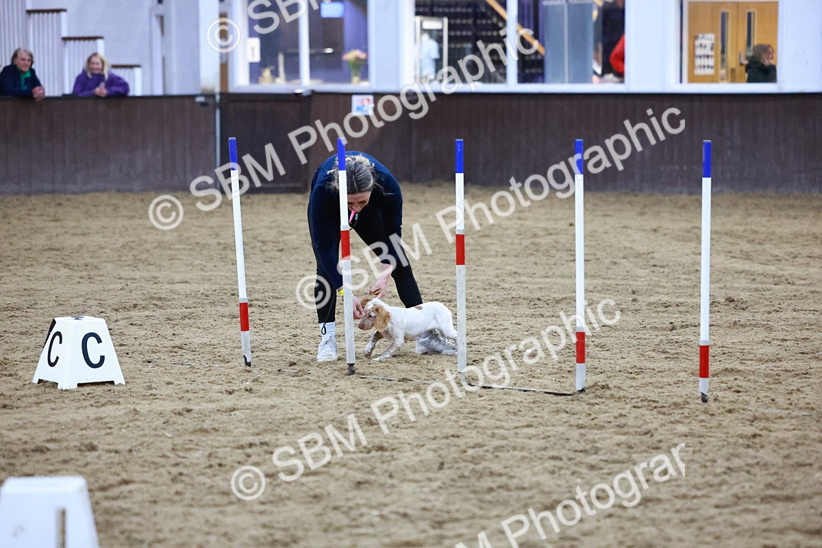 SBM_006185 - Evening Performance