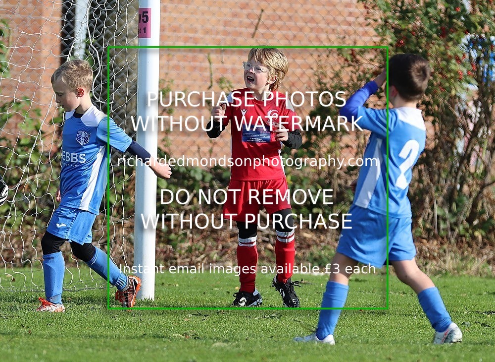 IMG_0173 - Ibis Under 7 vs Wattsfield Under 7 (28/9/24)