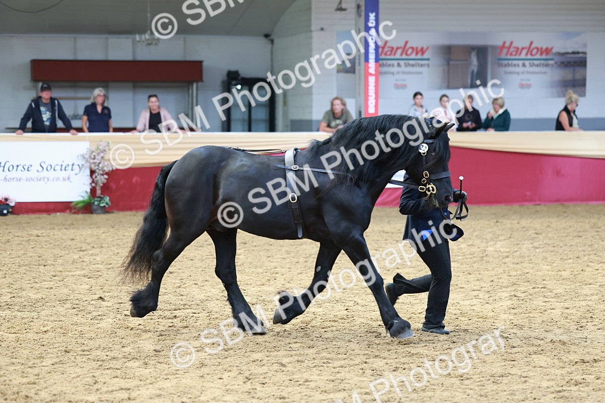 SBM_17490 - Class 951 - M&M IH Supreme Final