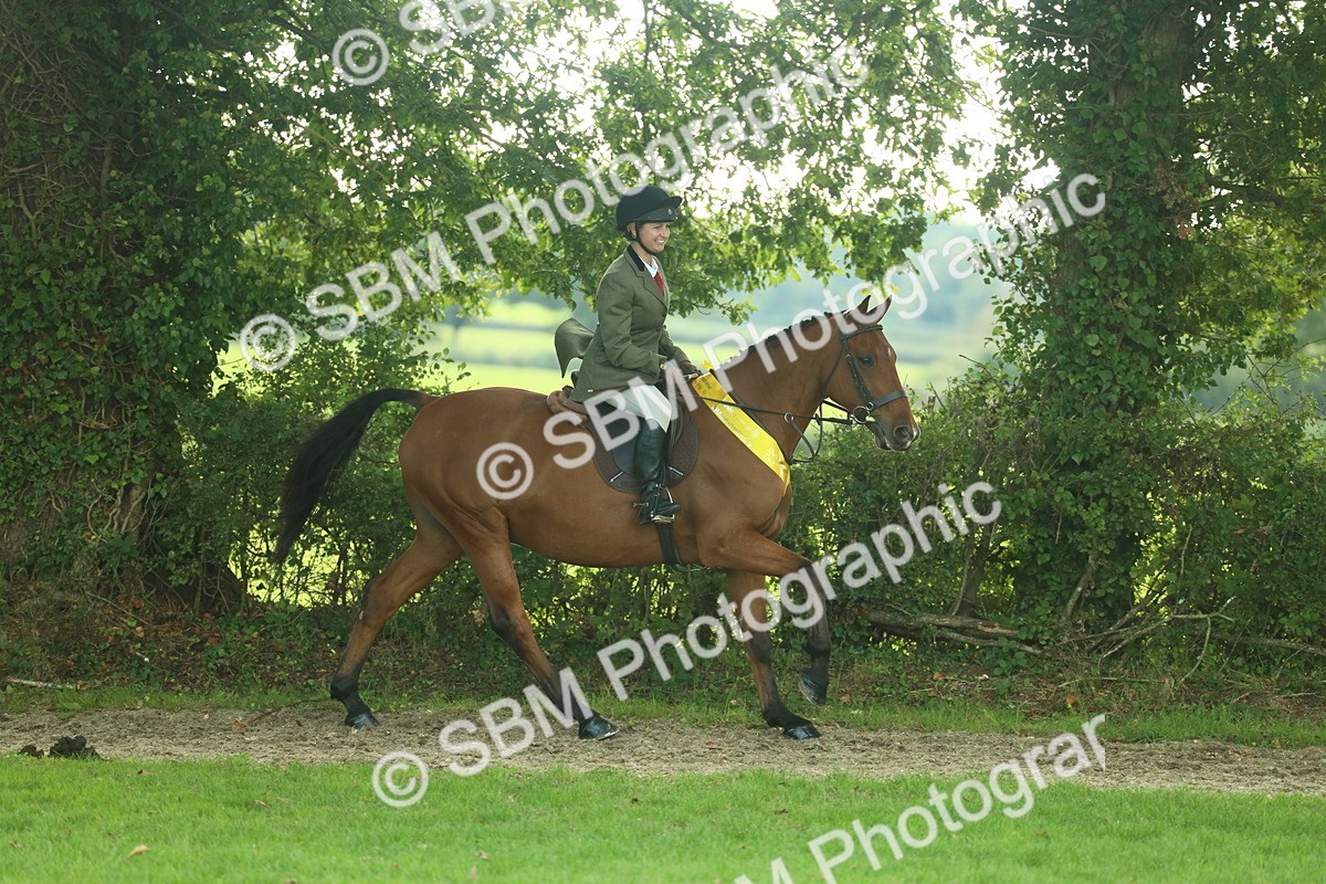 SBM_52251 - S33 - Working Hunter & Working Show Horse