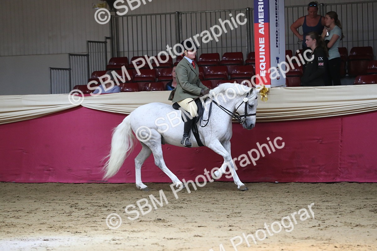 SBM_02874 - Class 6a Area Ridden Pre Vet