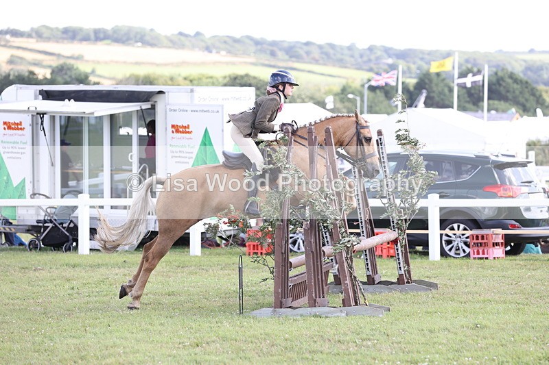 JPP_2714 - Class 20: Working Hunter 70cm