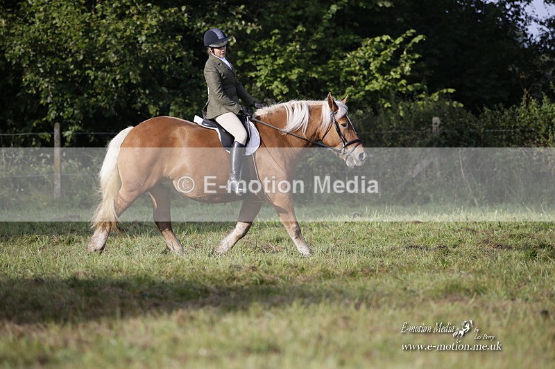 BVRC 120921 15 - Bourne Valley Riding Club UA Dressage & Show Jumping 12/09/21