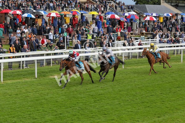140624-Race 4-Havana Gila-5635 - Race 4 3.35pm Seat Unique Ganton Stakes