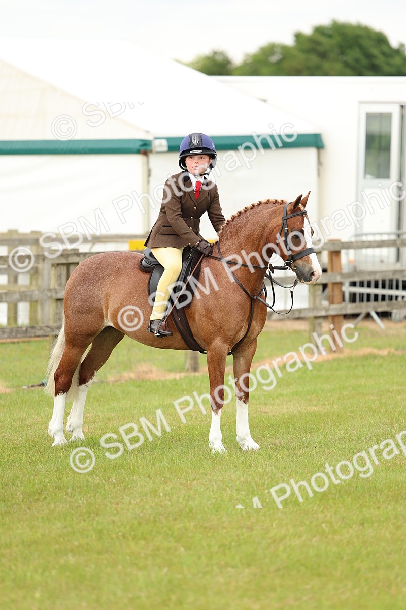SBM_10374 - Class 44-45 - LIHS BSPS Open Nursery and Cradle Stakes