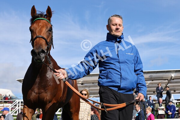 yr08102022r2-61 - Race 2 2.05pm The Coral Rockingham Stakes