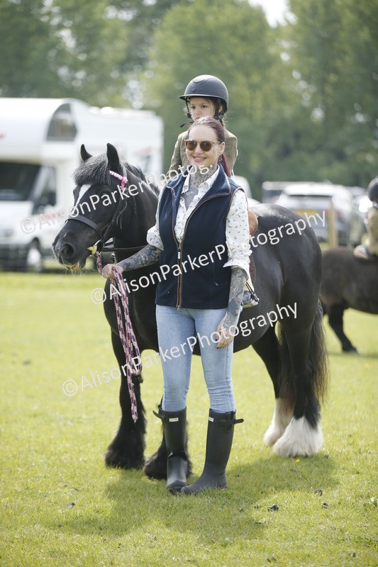 20260426-1906 - Class 7 - Pony Judge Would Most Like To Take Home
