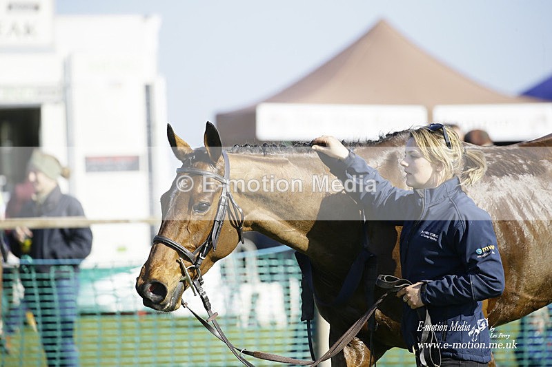 PtP 190322 625 - Wilton Hunt PtP Milborne St Andrew 19/03/22