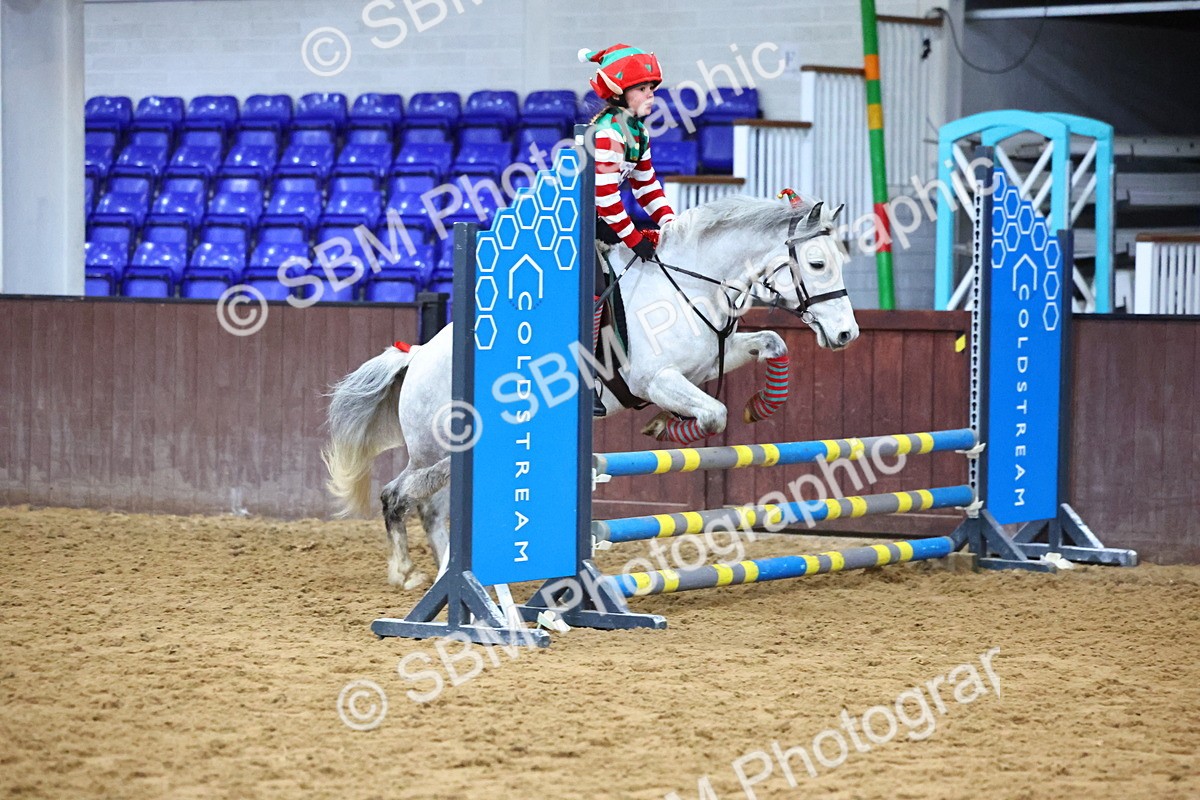 SBM_001354 - Class 3 - Christmas Tree Stakes - 60cm