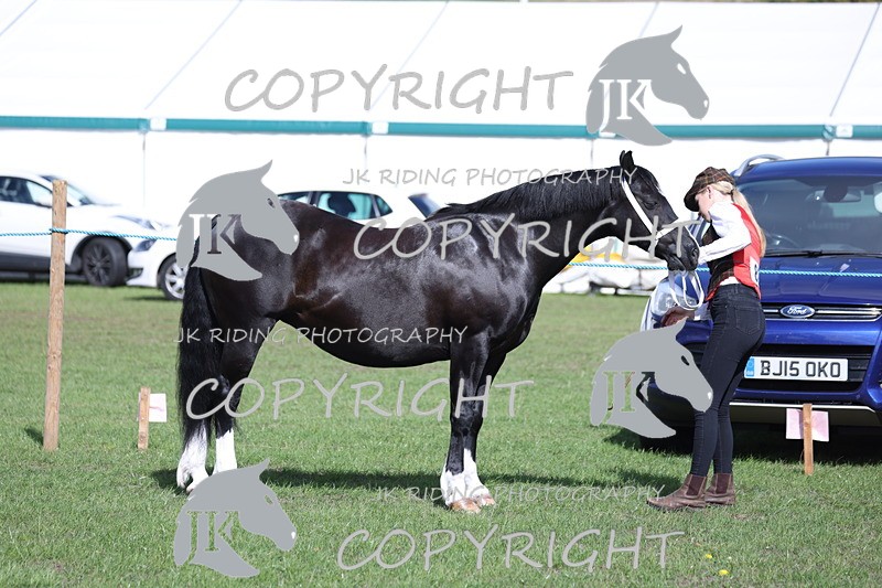 APP_2758 - Class 10a/b M&M in hand