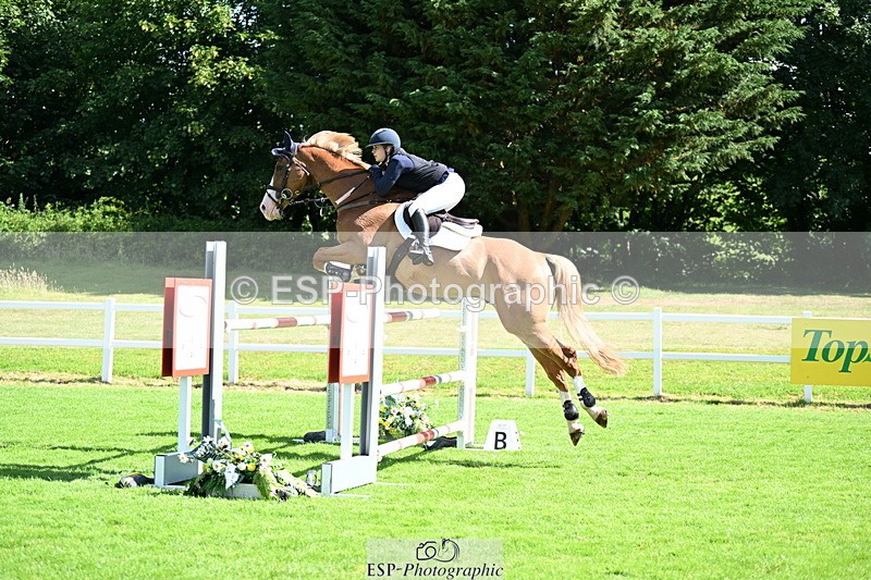 250703A-100832-02482 - Cls 1 Snr Foxhunter