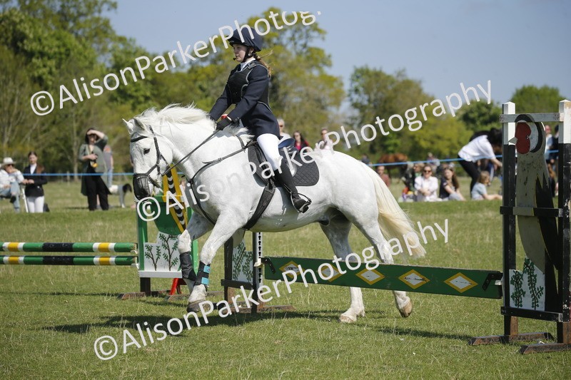 20250427-2192 - Class 13 - Novice Jumping 60cm