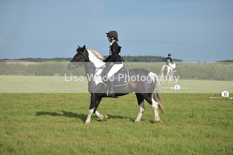 RAY_7609 - Class 2B: Trekenning Open: Dressage