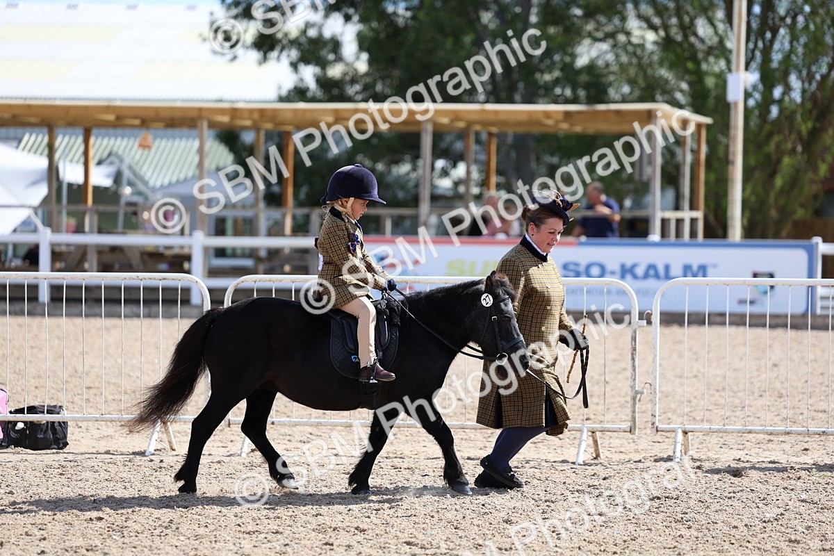 SBM_13047 - Class 309 - Lead Rein Pony