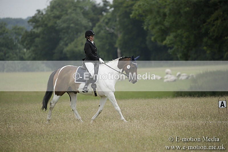B230619-0647 - Bourne Valley Riding Club Summer Show 23/06/19