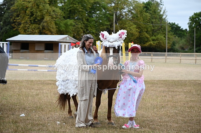 WJ6_9012 - Class 11 Fancy Dress