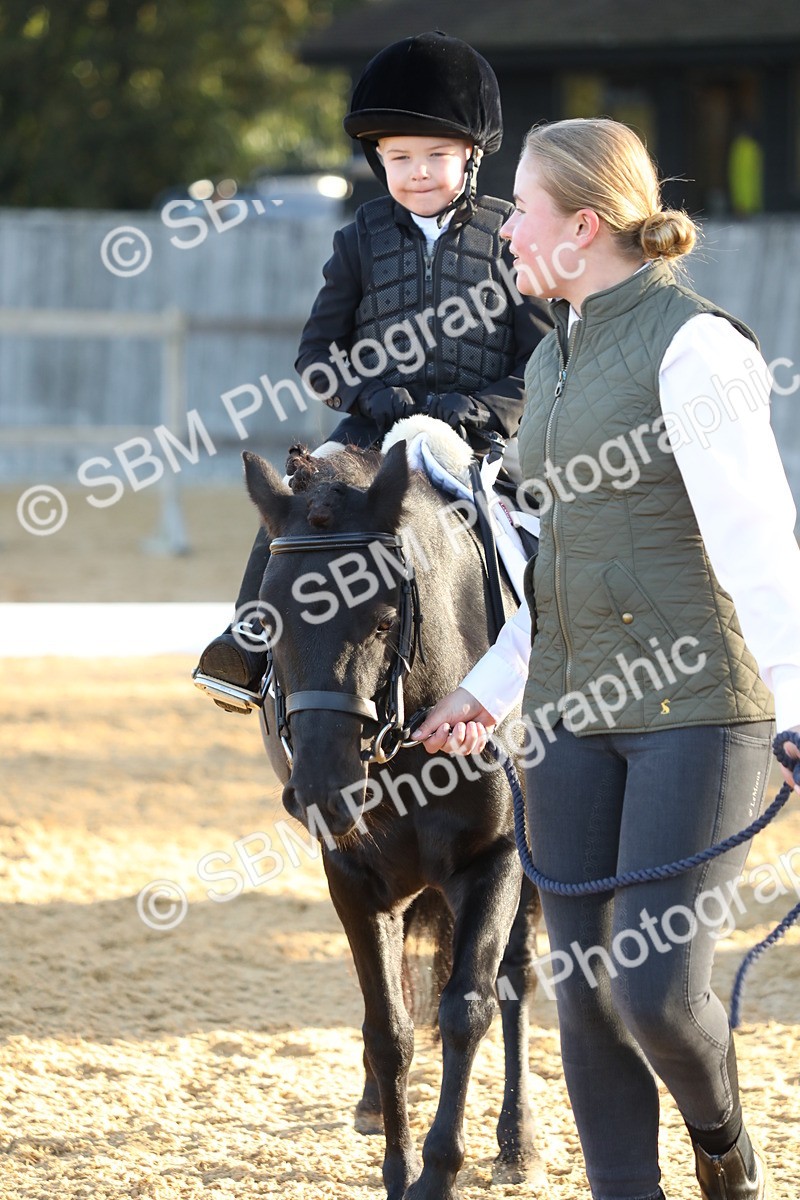 SBM_33579 - D26 - Starers - Lead Rein