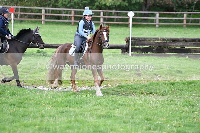 WJ5_7914 - Time 10:31 to 12:01