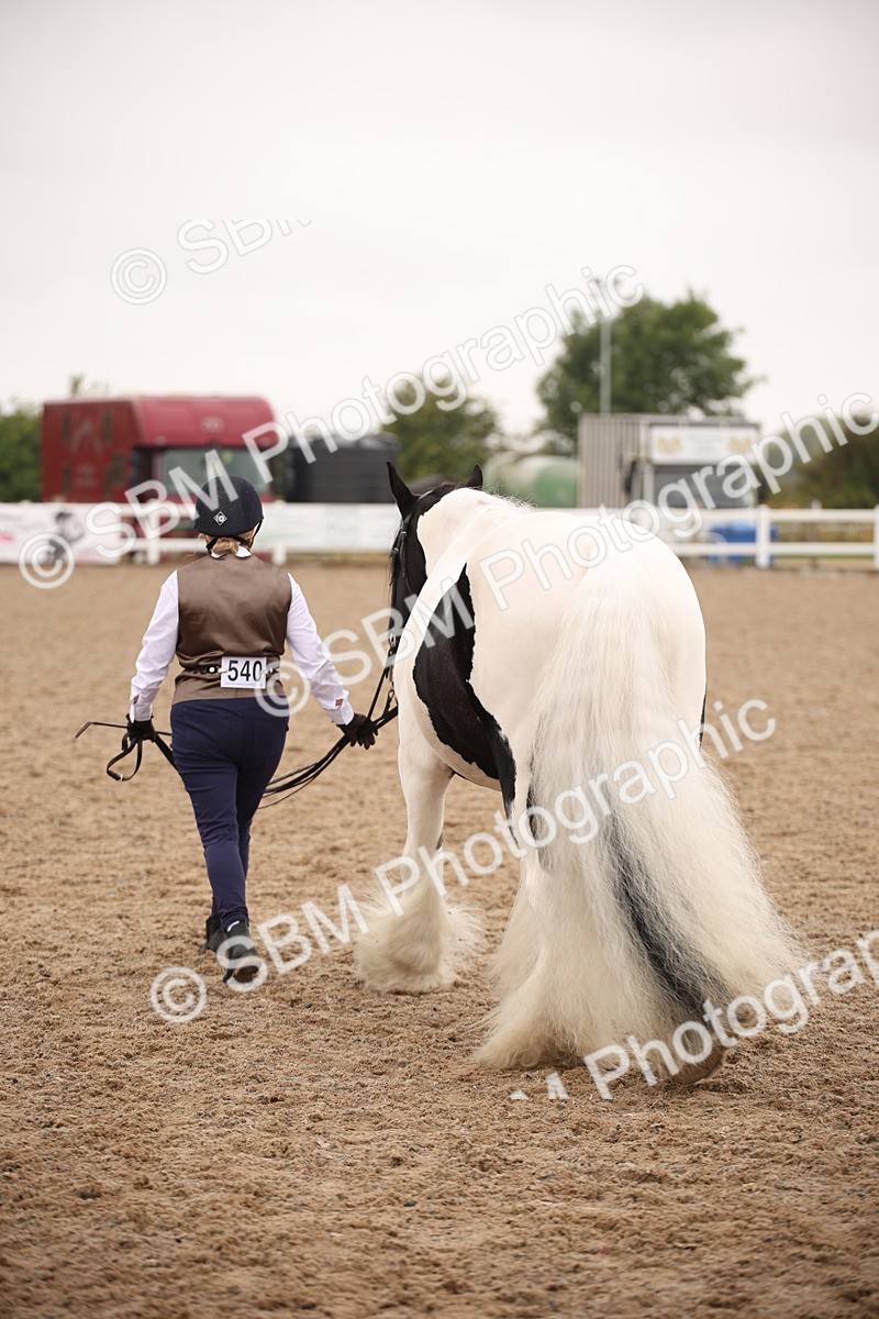SBM_22150 - Class 707 - Ridden Groom-Helpers Class