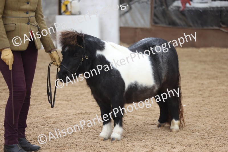 20251109-0254 - Class 11 - 2 and 3 Year Old