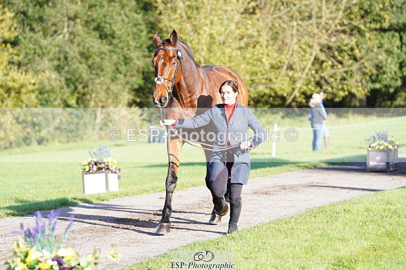 241026-101332-11691 - 053-Lois.Teal-Z7.CATASTROPHE