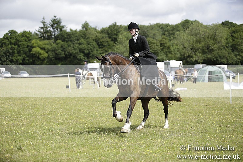 BVR160717-1976 - Side Saddle Classes 16/07/17