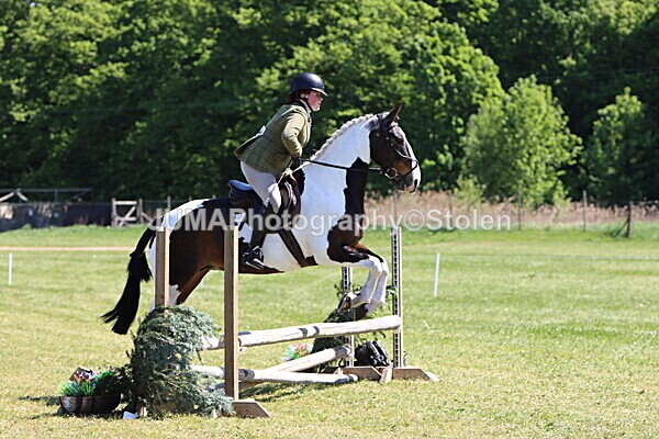 IMG_4082 - Working Hunter