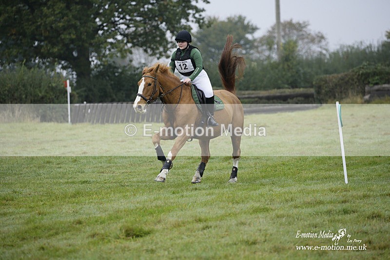 WWHT 171021 0084 - Novice Restricted (0.80m)  17/10/21